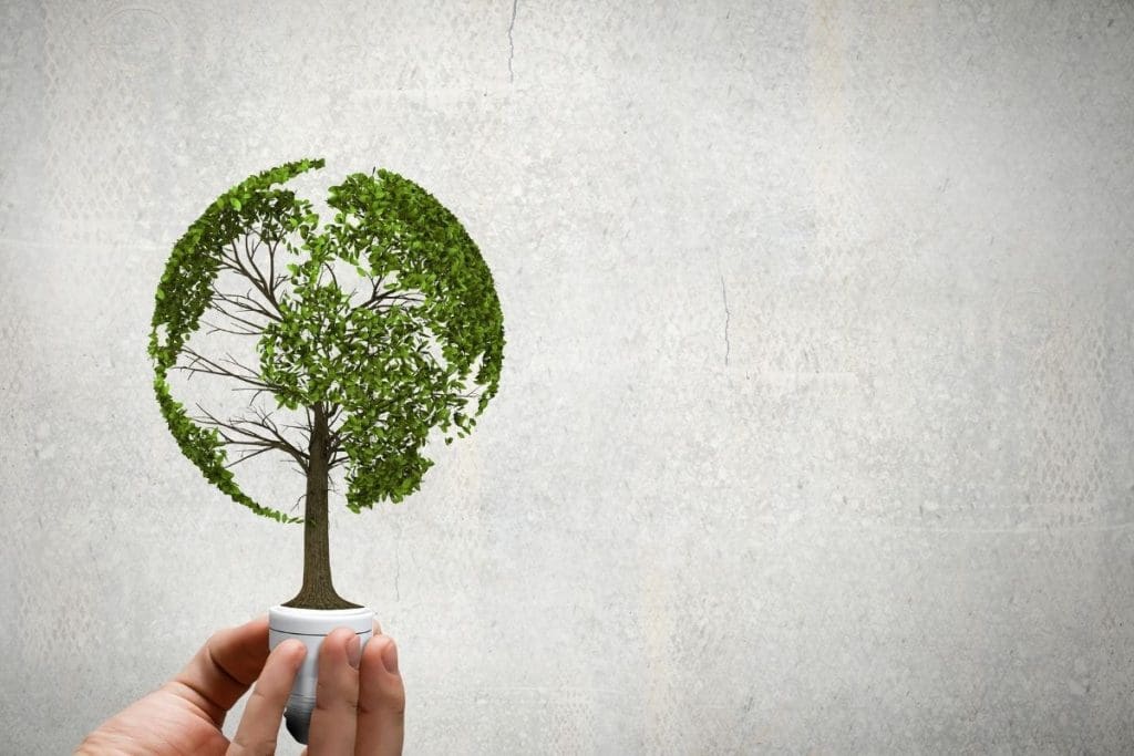 Can I Leave My Boiler On Continuously? Wunda